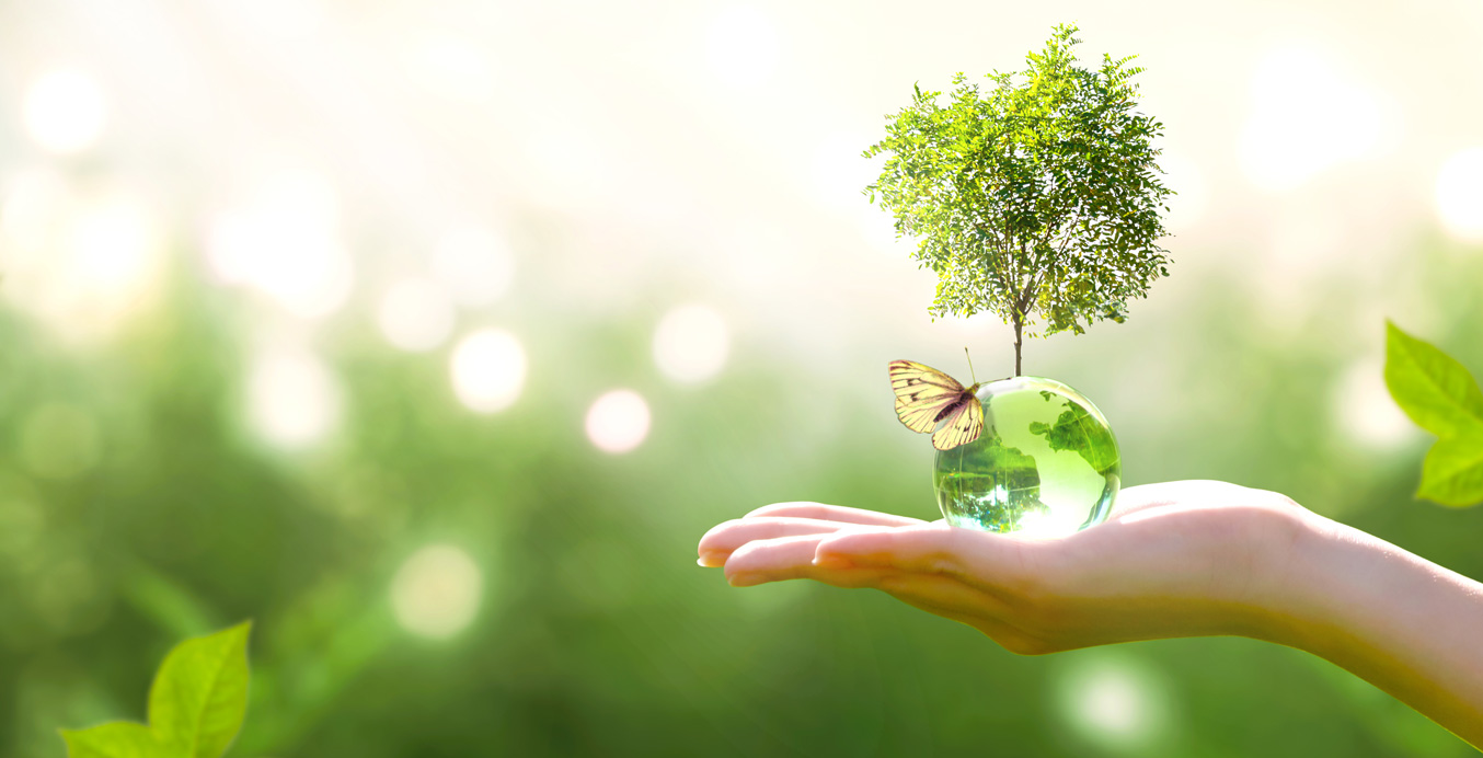 Baum des Lebens in einer Hand